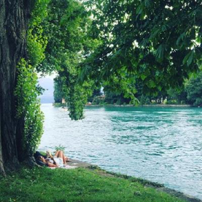 香港最准资料免费公开app下载